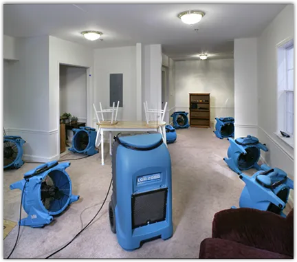Water Extraction & Removal in Sun City, AZ