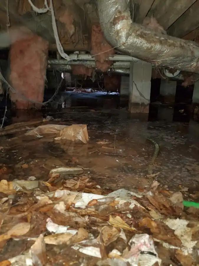 Crawl space flood assessment for Leak Detection & Repair in Sun City